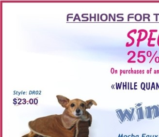 Dog Fashions