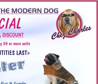 Dog Coats