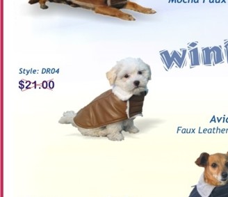 Dog Clothing