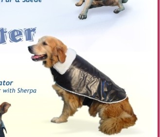 Dog Apparel